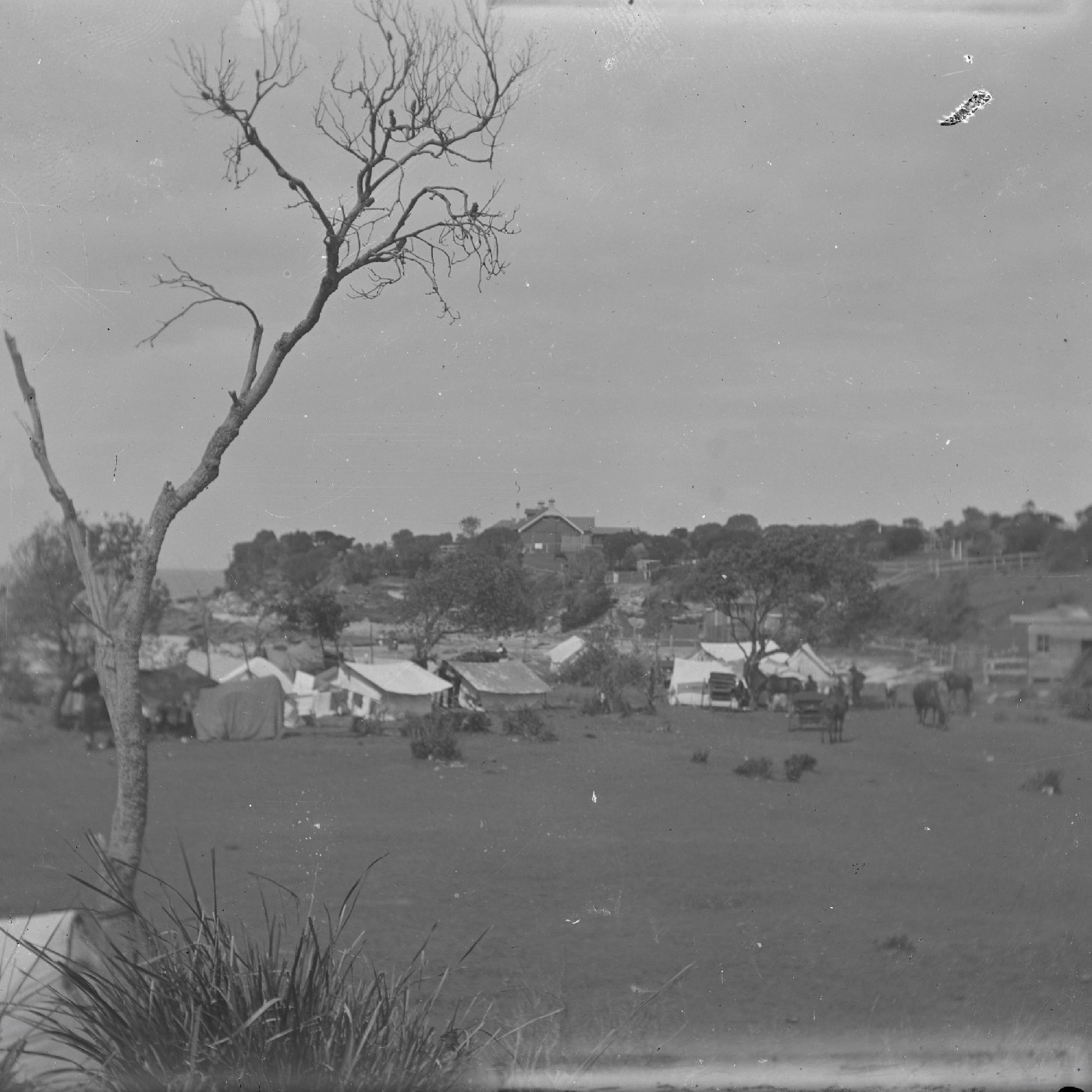 Kalanga Station: Cameron Collection