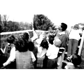 Koori Kids, International Book Week, 1993