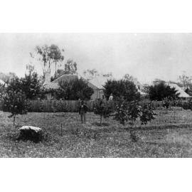 "Balala", Bundarra, NSW