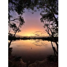 Darumbal Country  (Corio Bay, Qld) by Errolyn Moore 
