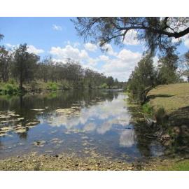 Gumbaynggirr Country  (Glen Innes, NSW  ) by Lynette Marlow 