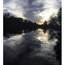 Gumbaynggirr Country  (Glen Innes, NSW) by Lynette Marlow 