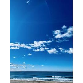 Biripi Country (Wallabi Point, NSW) by Hailey Thompson 