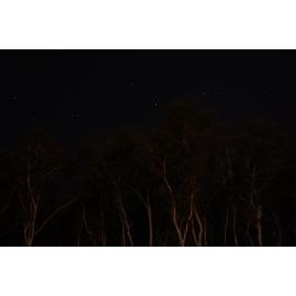 Larrakia Country  (Darwin, NT) by Josephine Vassiliou 