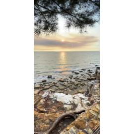 Larrakia Country  (Darwin, NT) by Amanda Letcher 