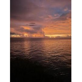 Larrakia Country  (Darwin, NT) by Amanda Letcher 