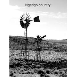 Ngarigo Country (Cooma, NSW) by Janine John-Natley 