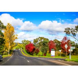 Anaiwan Country  (Armidale, NSW) by Thai Nguyen
