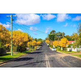 Anaiwan Country  (Armidale, NSW) by Thai Nguyen