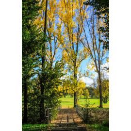 Anaiwan Country  (Armidale, NSW) by Thai Nguyen