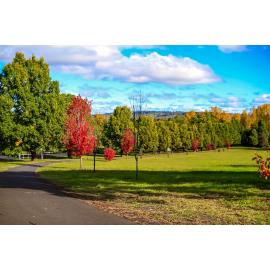 Anaiwan Country  (Armidale, NSW) by Thai Nguyen