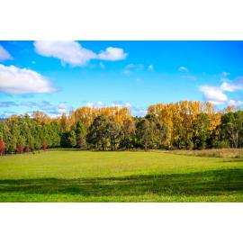 Anaiwan Country  (Armidale, NSW) by Thai Nguyen