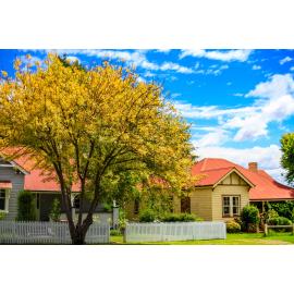 Anaiwan Country  (Armidale, NSW) by Thai Nguyen