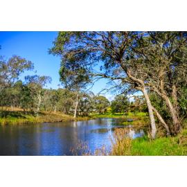 Gumbaynggirr Country (Northern Tablelands, NSW) by Thai Nguyen