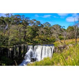 Gumbaynggirr Country (Northern Tablelands, NSW) by Thai Nguyen