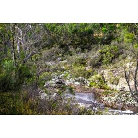 Dunghutti Country (Wollomombi, NSW) by Thai Nguyen