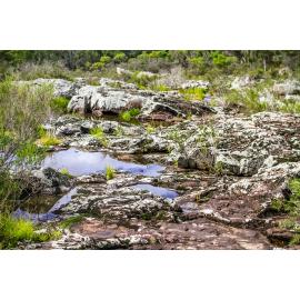 Dunghutti Country (Wollomombi, NSW) by Thai Nguyen