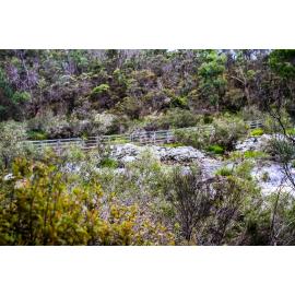 Dunghutti Country (Wollomombi, NSW) by Thai Nguyen