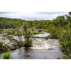 Dunghutti Country (Wollomombi, NSW) by Thai Nguyen