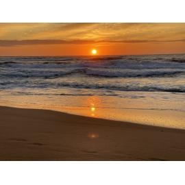 Darkinjung Country (Avoca Beach, NSW) by Vanessa Lane 