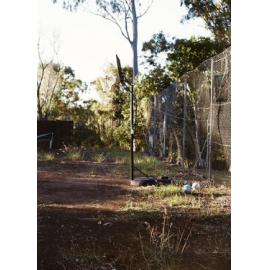 Gureng Gureng Country (Bundaberg, Qld) by Georgia Haupt 