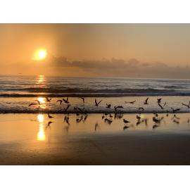 Bundjalung Country (Fingal Head, NSW) by Chrystene Conder 