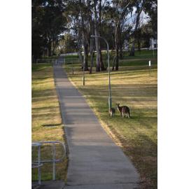 Anaiwan Country (Armidale, NSW) by Maigan Galloway 
