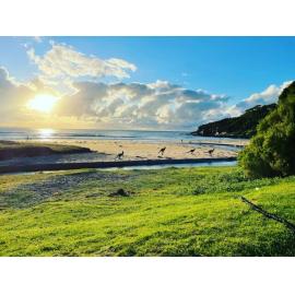 Yuin Country (Broulee Island , NSW) by Hannah Fernie