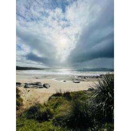 Yuin Country (Broulee Island , NSW) by Hannah Fernie