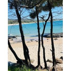 Yuin Country (Broulee Island , NSW) by Hannah Fernie