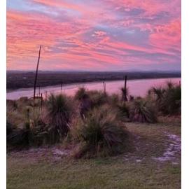 Bundjalung Country (Evans Head, NSW ) by James Dowling 
