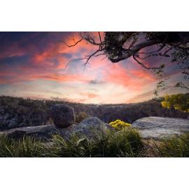 Anaiwan Country (Armidale, NSW) by Jack Higgins