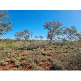 Banjima Country  (Pilbara, WA) by Colin Ahoy 