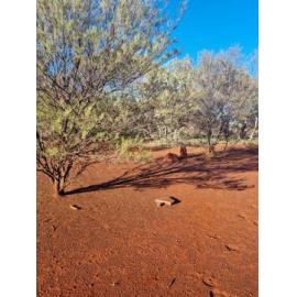 Banjima Country  (Pilbara, WA) by Colin Ahoy 