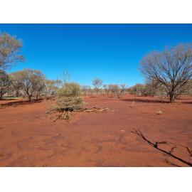 Banjima Country  (Pilbara, WA) by Colin Ahoy 