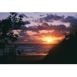 Gumbaynggirr Country  (Coffs Harbour, NSW) by Chloe Sankey 
