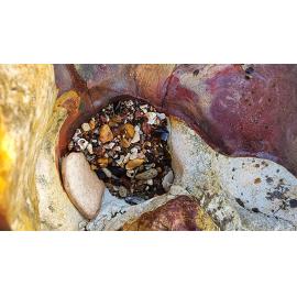 Larrakia Country  (Nightcliff, NT) by Susan Lewis