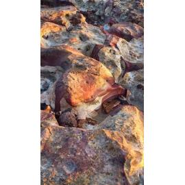 Larrakia Country  (Nightcliff, NT) by Susan Lewis