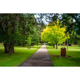 Anaiwan Country  (Armidale, NSW) by Thai Nguyen
