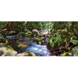 Djabuganjdji Country  (Mareeba, Qld) by Emma Grabowski