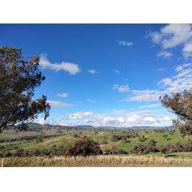 Wiradjuri and Ngunnawal Country (Hilltops, NSW) by Sherelle Hogg 