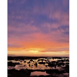 Yuin Country (Broulee Island , NSW) by Lisa Robbins