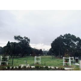 Wangal Country (Strathfield, NSW) by Jessica Ellen Rogers.