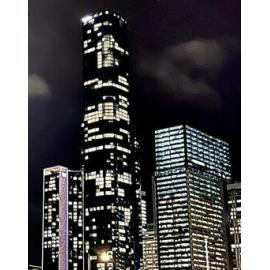 Meeanjin Country (Brisbane, QLD) by Shay-Lee Coulson