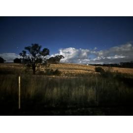 Anaiwan Country (Armidale, NSW) by Sujit Ray