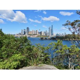 Cammeraygal Country (Balls Head Reserve, NSW) by Louise de Freitas.