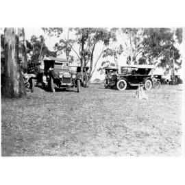 Cars parked among the trees, c.1930