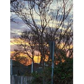 Anaiwan Country (Uralla, NSW) by Susan Lewis