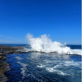 Awabakal Country (Newcastle , NSW) by Amelia Grace Humby