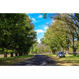 Aniwan Country (Uralla, NSW) by Thai Nguyen